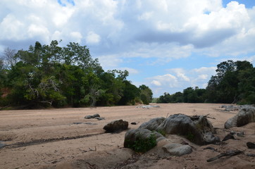 The African landscape. Mozambique
