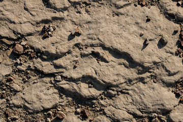 Solid North Dakota Badlands Sandstone Rock Texture