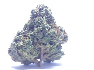 Marijuana Cannabis Bud Closeup