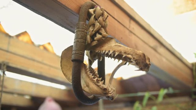 Artefactos arqueol&oacute;gicos e hist&oacute;ricos de la isla mocha