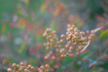 L'autunno