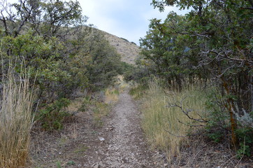 Fototapeta na wymiar trail1