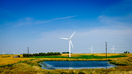 Windmill 15
