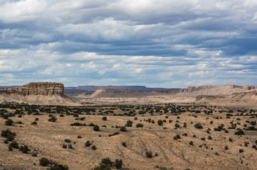 New Mexico Mesas