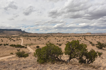 New Mexico Dirt Road
