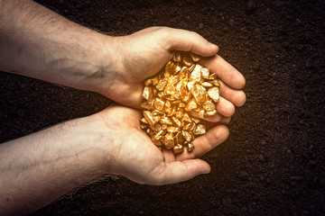 Gold nuggets the hands of the miner.  The working hands of a peasant with pure gold. top view