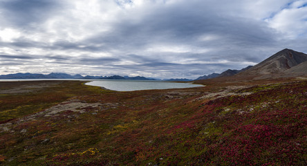 Gavriila Bay, tundra colours in Autumn