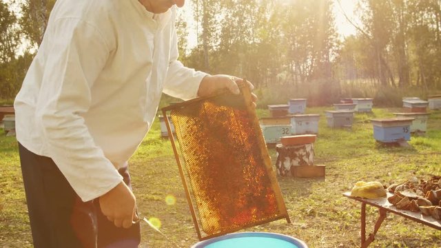 The beekeeper gets a frame from the hive.