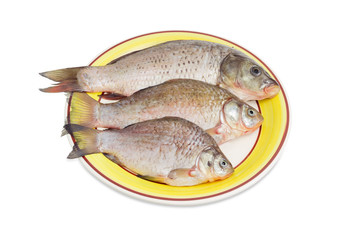Carp and two crucian carps prepared for cooking on dish