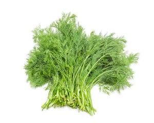 Bundle of dill on a white background