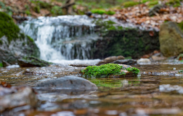 kleines Wasserbiotop bei Bährenbach / Olbernhau, Sachsen
