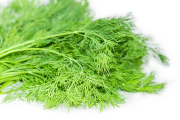 Bundle of dill on a white background closeup