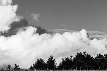 Big and apparently close clouds behind some trees in a wood