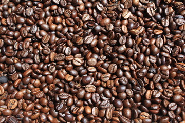coffee bean