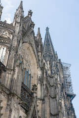 Fototapeta premium Kölner Dom