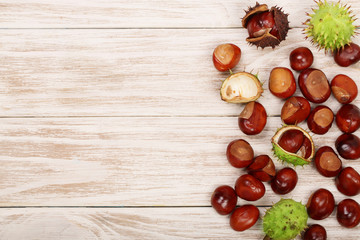 chestnut on white wooden background with copy space for your text. Top view