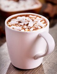 Cup of hot chocolate with marshmallows