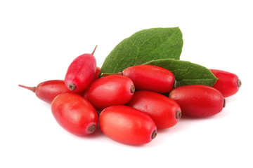 fresh barberry with leaves isolated on a white background