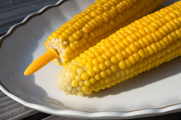 two corncobs