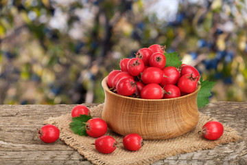 Hawthorn berry with leaf in a bowl on wooden table with a blurry garden background