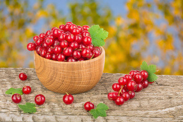 Red currant berries in wooden bowl on wooden table with blurry garden background