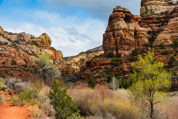 Calf Creek Trail Utah Water Fall Rock Landscape
