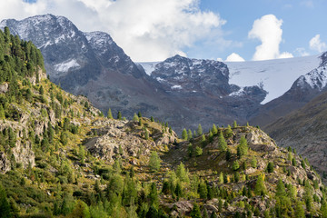 Mountains, peaks, everlasting ice and trees landscape. Kaunertaler Gletscher natural environment. Hiking in the alps, Kaunertal, Tirol, Austria, Europe