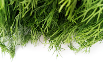 Dill Leaves