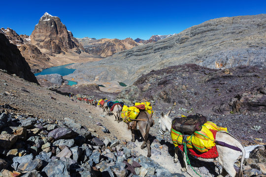 รูปภาพCordillera เลือกดูภาพถ่ายสต็อก เวกเตอร์ และวิดีโอ39,844 Adobe