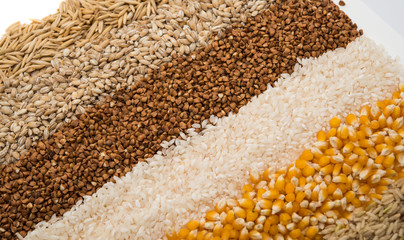 Collection Set of Cereal Grains