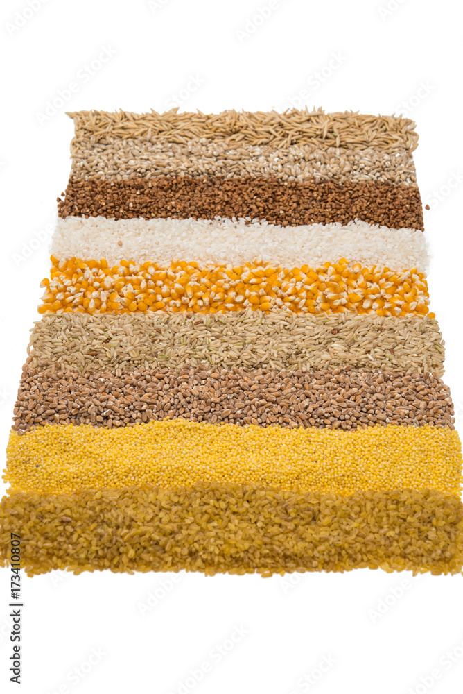 Sticker Collection Set of Cereal Grains