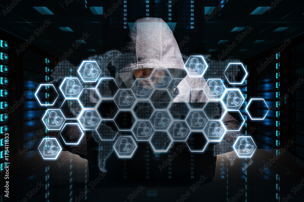 Leinwandbilder Hacker accessing to personal data information with a computer 3D rendering