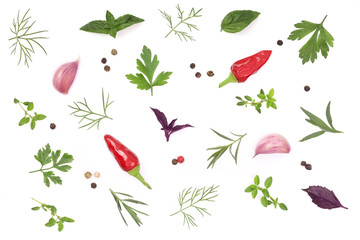 Fresh spices and herbs isolated on white background. Dill parsley basil thyme chili peppercorns...
