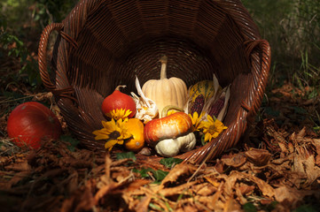 Basket full of autumn fertility- pampkins, sunflowers and chestnuts