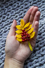 autumn twig of mountain ash in his hands on the soft warm rug, handmadeautumn twig of mountain ash in his hands on the soft warm rug, handmade - 173414407