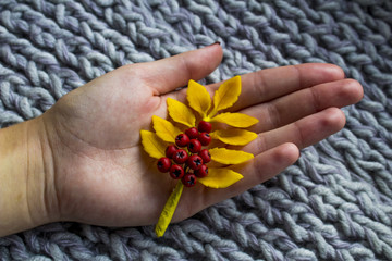 autumn twig of mountain ash in his hands on the soft warm rug, handmade - 173414419