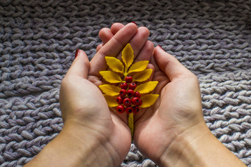 autumn twig of mountain ash in his hands on the soft warm rug, handmade - 173414430
