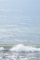 波打ち際