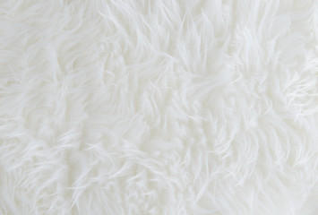 White fur texture background