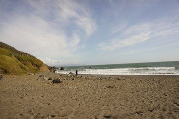 Fototapeta na wymiar Beach on the Pacific