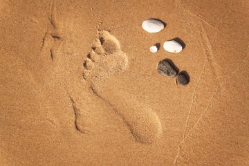 Fototapeta na wymiar Human footprint on the beach sand. Memories of the sea. Greetings from vacation. Evening on the beach.