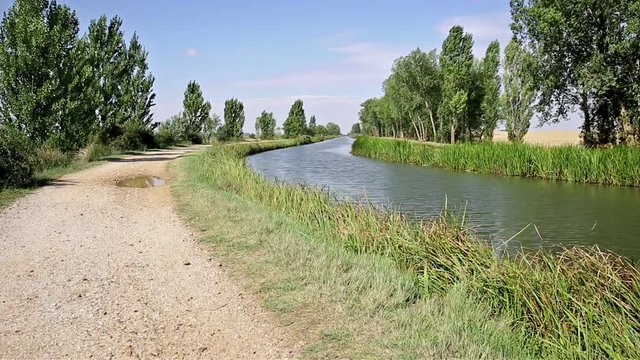 dirt road along the Canal of Castile, north Canal  next to Fromista, province of Palencia, Spain 