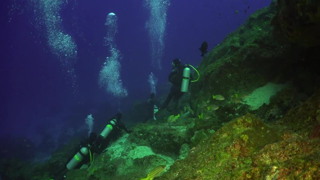 Diver with lantern school of fish on underwater seabed of natural sea aquarium. Unique landscape, rocky pinnacles, canyons, walls and caves. Beautiful relax array of marine life ready for exploration.