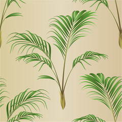 Seamless texture Palm decoration house plant vintage vector illustration editable hand drawn
