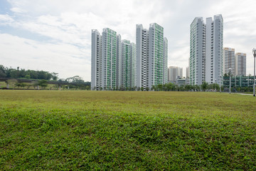 Fototapeta premium Condominium skyline with trees and grasses