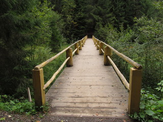 bridge over the mountain river in the Carpathian forest