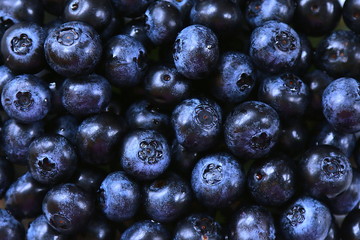 Canadian blueberries 