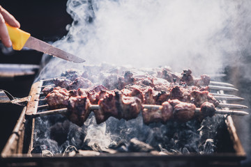 Pork BBQ meat on the stick 