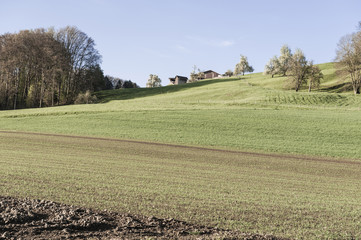 Fototapeta na wymiar Agriculture in Switzerland