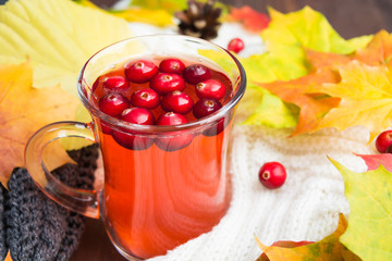 Red cranberry beverage in cup with warm clothes and autumn leaves